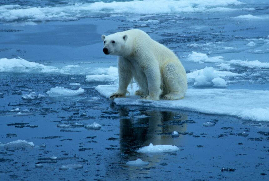 Global Temperatures to Exceed 1.5°C Above Pre-Industrial Levels in Next 5 Years: UN