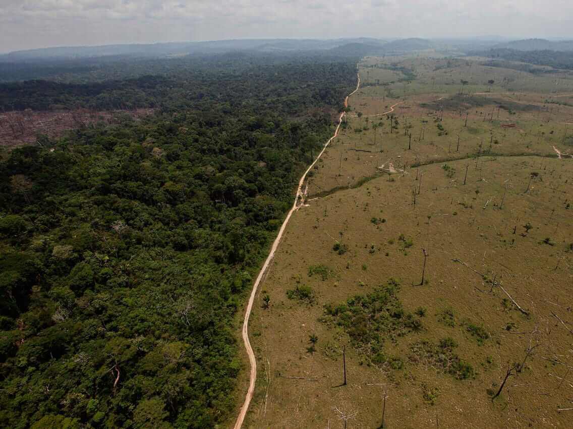 Multiple Companies Threaten to Divest From Brazil Over Amazon Rainforest Deforestation