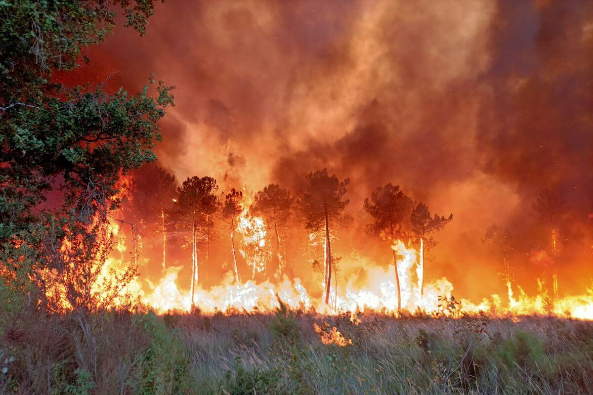 EU Dispatches 361 Firefighters as France Wildfires Spread Across 44,000 Acres