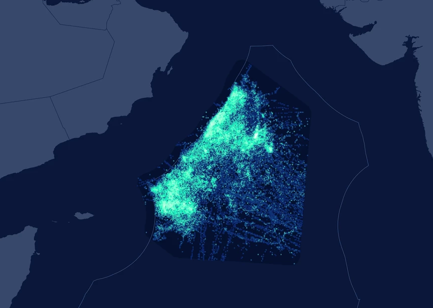 Fishing vessel activity in the northwest Indian Ocean.